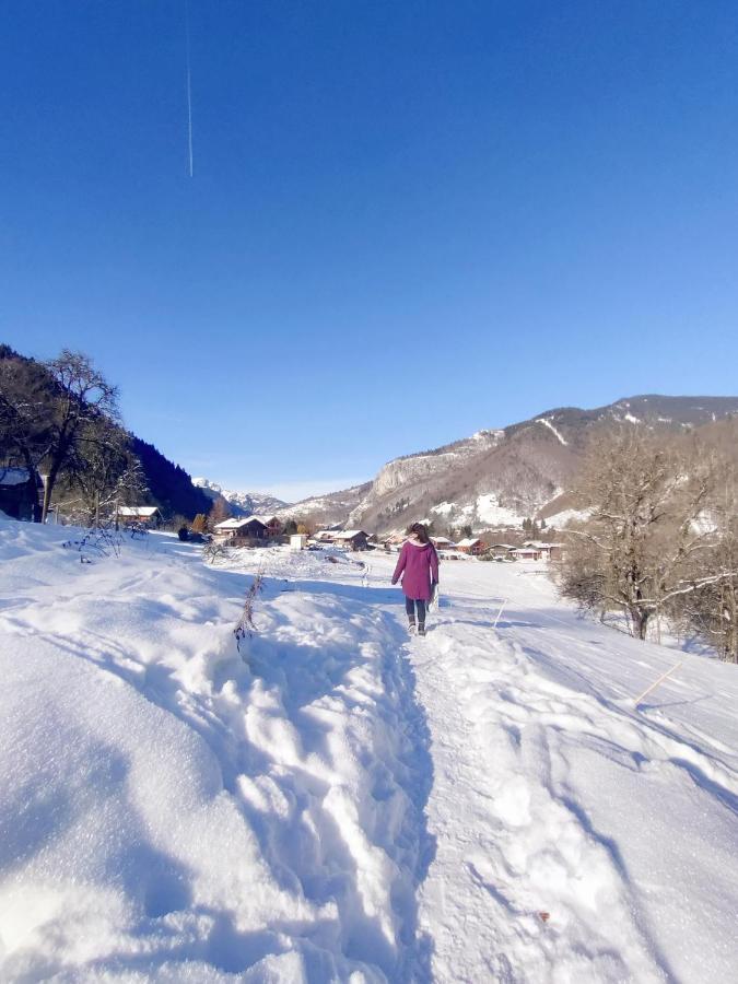 Appartement Cosy 3/4 Personnes A 5 Min Des Pistes. Saint-Jean-dʼAulps 외부 사진